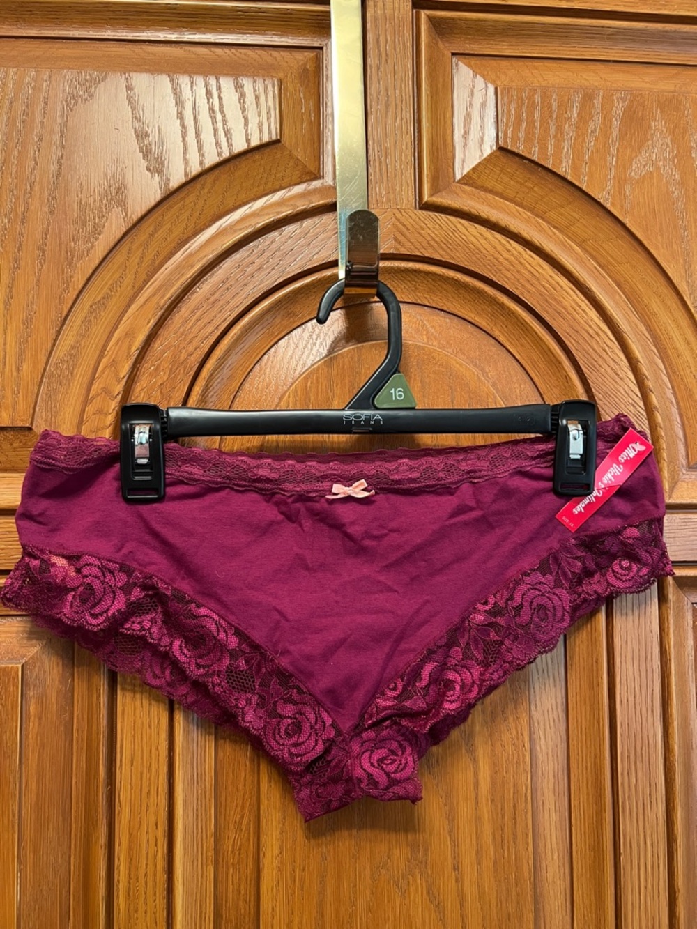 Lace-Trim Bikini Panty in Burgundy